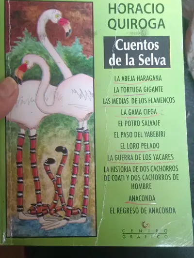 Libros - miniatura 1