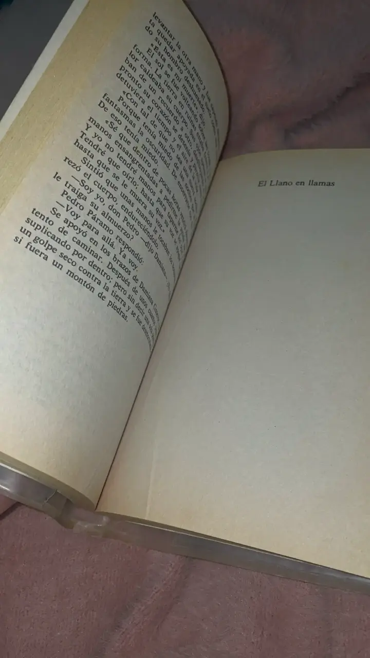 Libro Pedro Páramo y El Llano en Llamas - 4