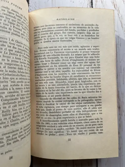 Charles Baudelaire / François Porché - miniatura 4