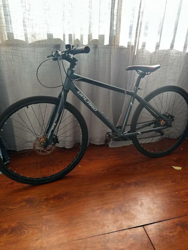 Bicicleta urbana Upland - 1