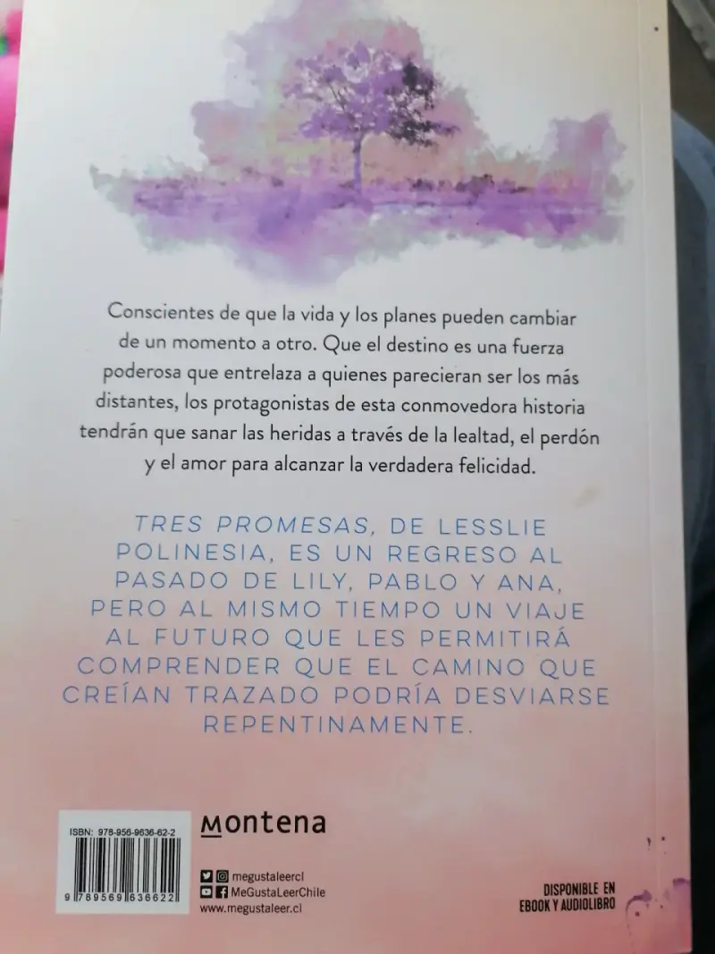 Libro 'Tres Promesas' por Lesslie Polinesia - 2