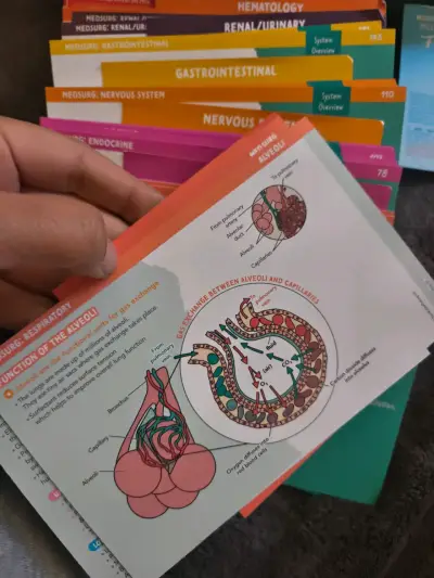 Paquete de flashcards para enfermería - miniatura 4
