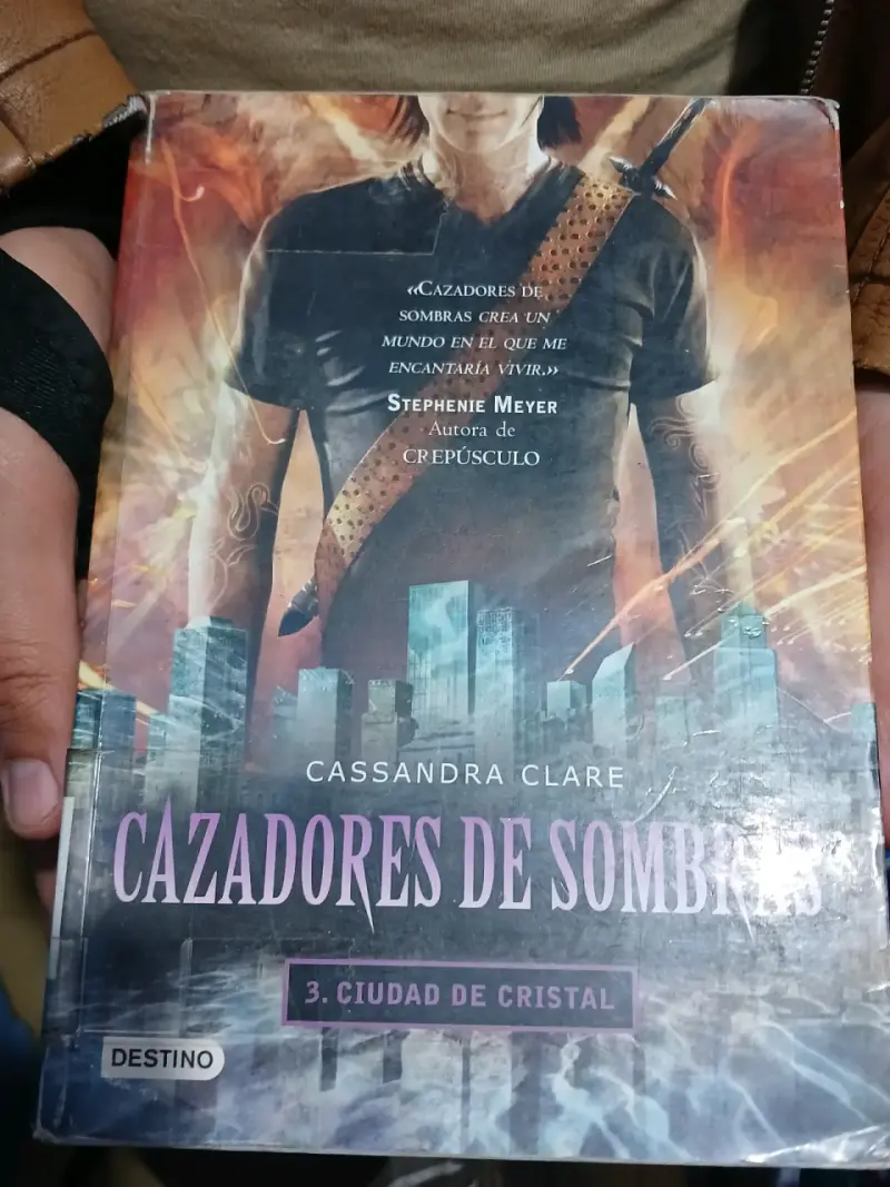 Saga Cazadores de Sombras (Libro 1 al 5) - 4