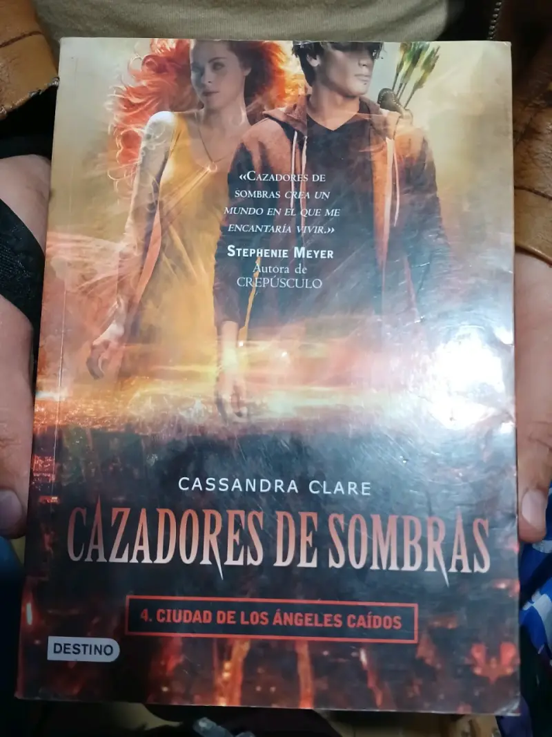 Saga Cazadores de Sombras (Libro 1 al 5) - 5