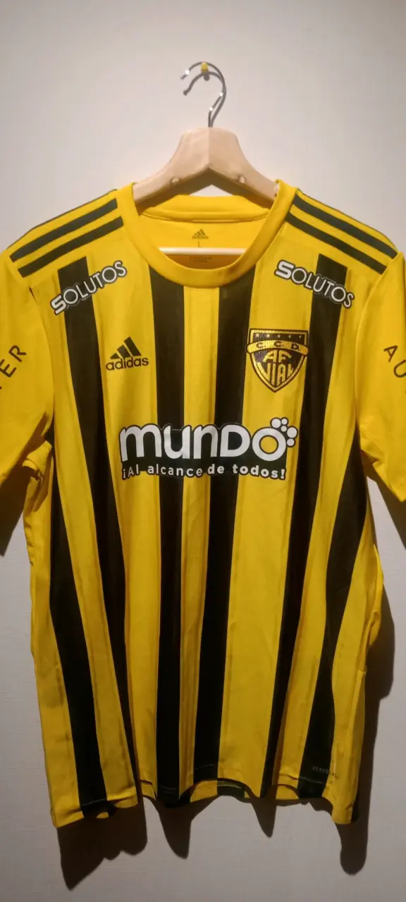 Camiseta de Arturo Fernández Vial - 1
