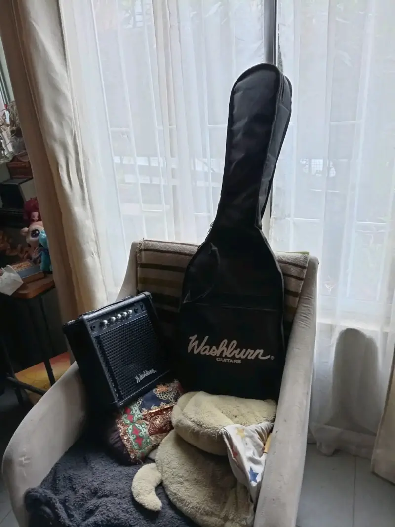 Guitarra eléctrica Washburn sunburst - 4