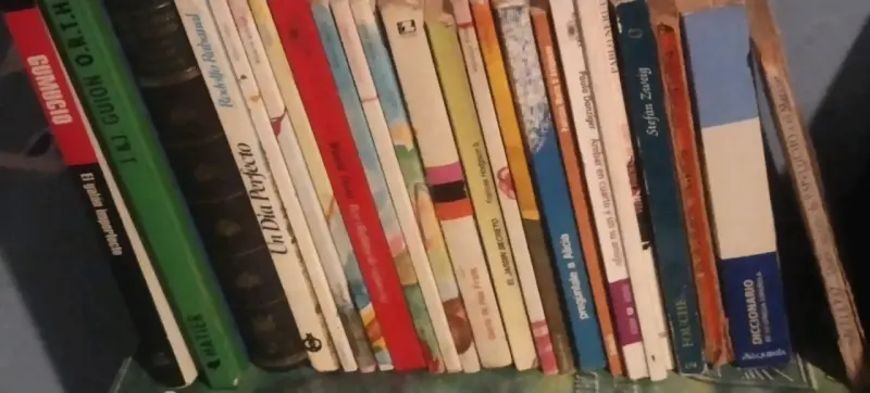Lote de libros variados - 1