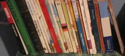 Lote de libros variados - miniatura 1
