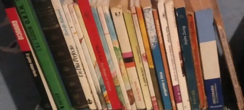 Lote de libros variados - 3