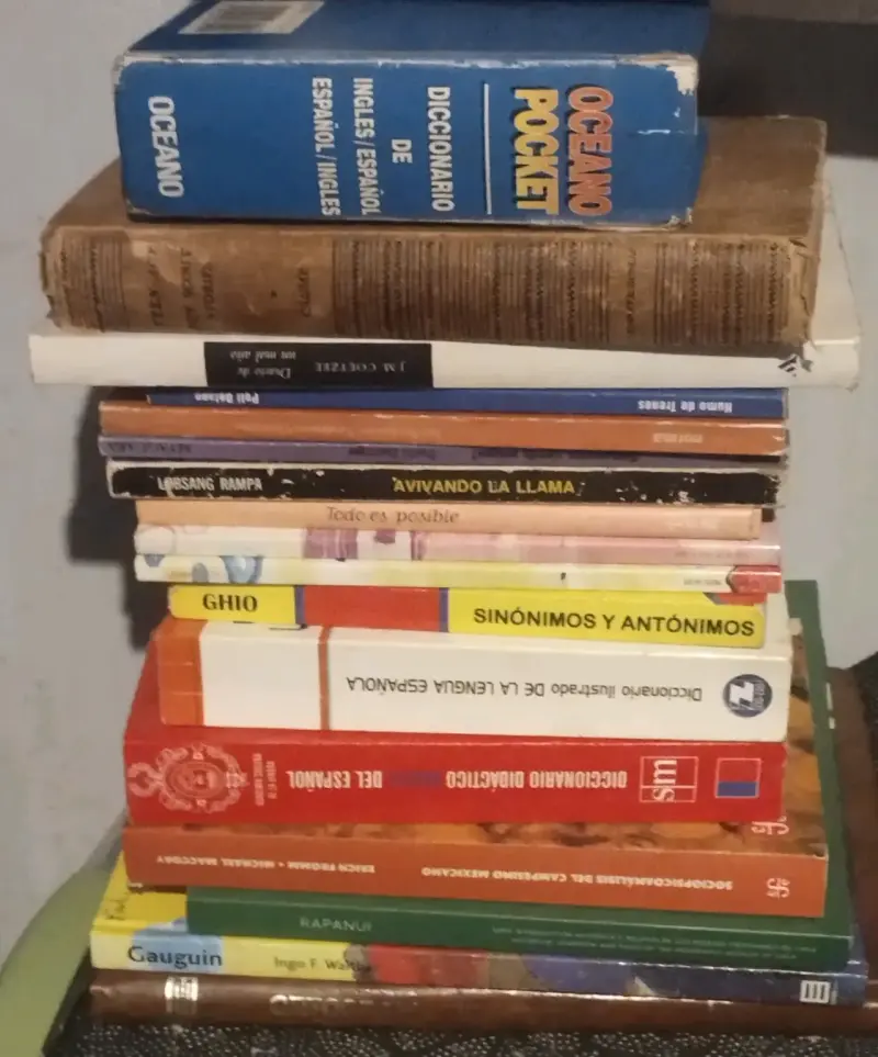 Lote de libros variados - 6