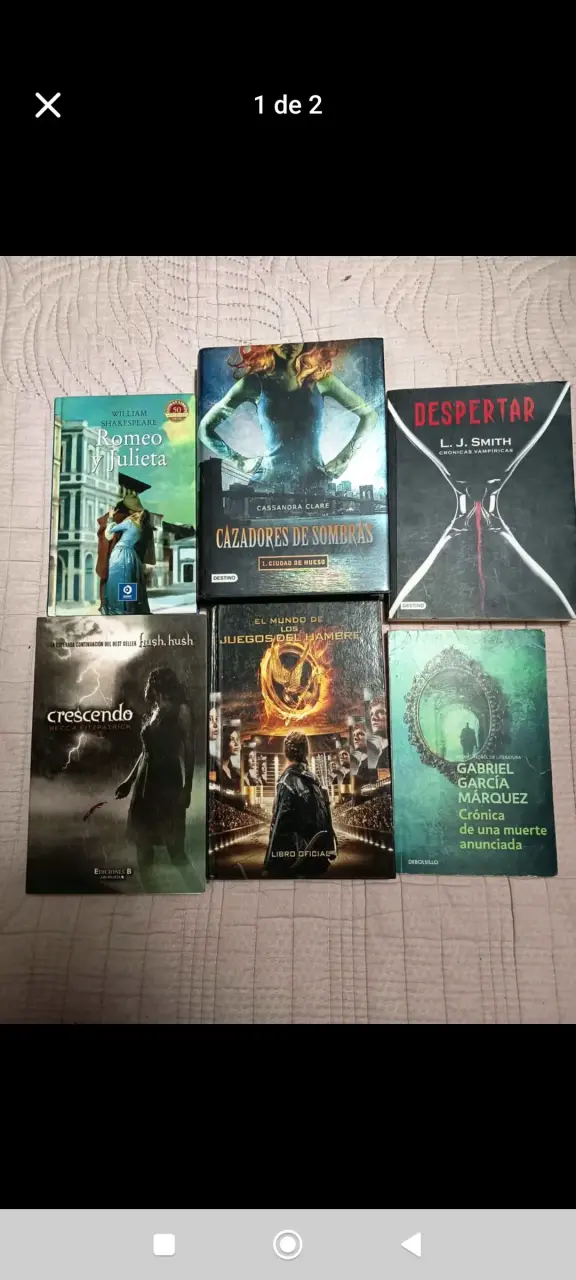 Lote de libros varios