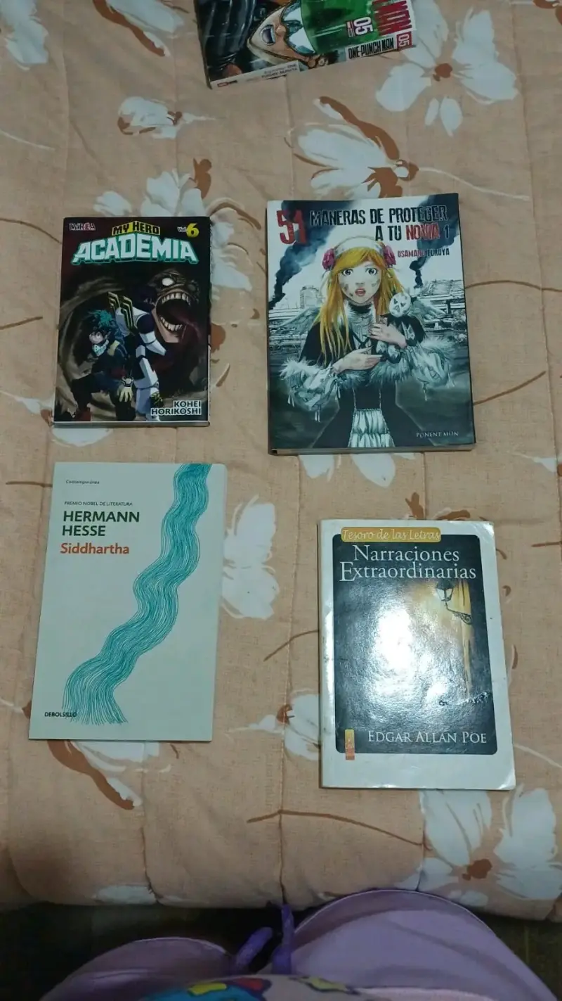 Lote de libros variados - 1