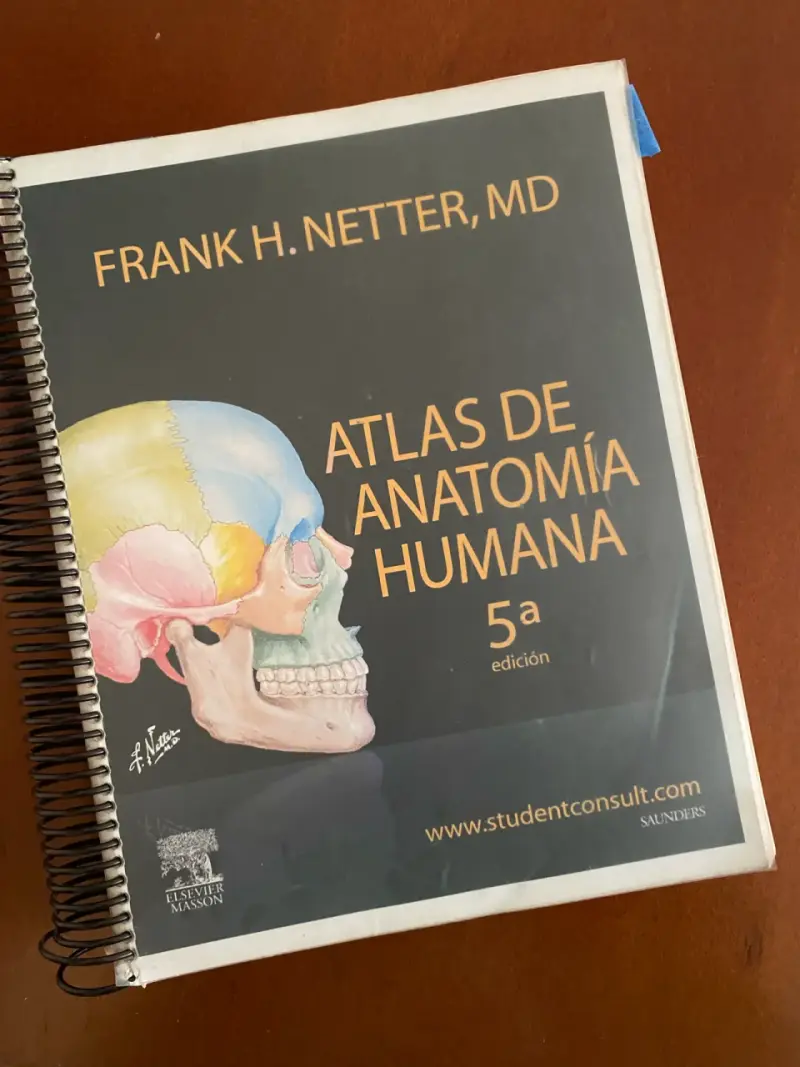 Atlas de Anatomía Humana 5ª Edición Netter - 1