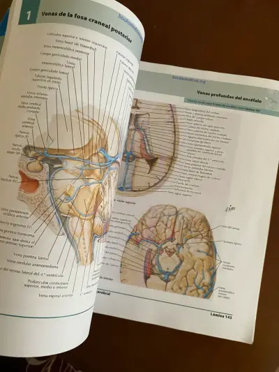 Atlas de Anatomía Humana 5ª Edición Netter - miniatura 3