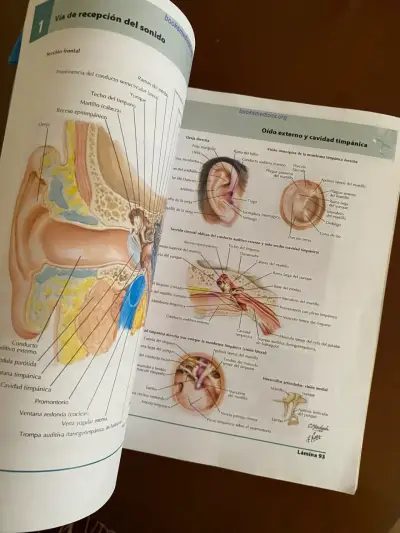 Atlas de Anatomía Humana 5ª Edición Netter - miniatura 4