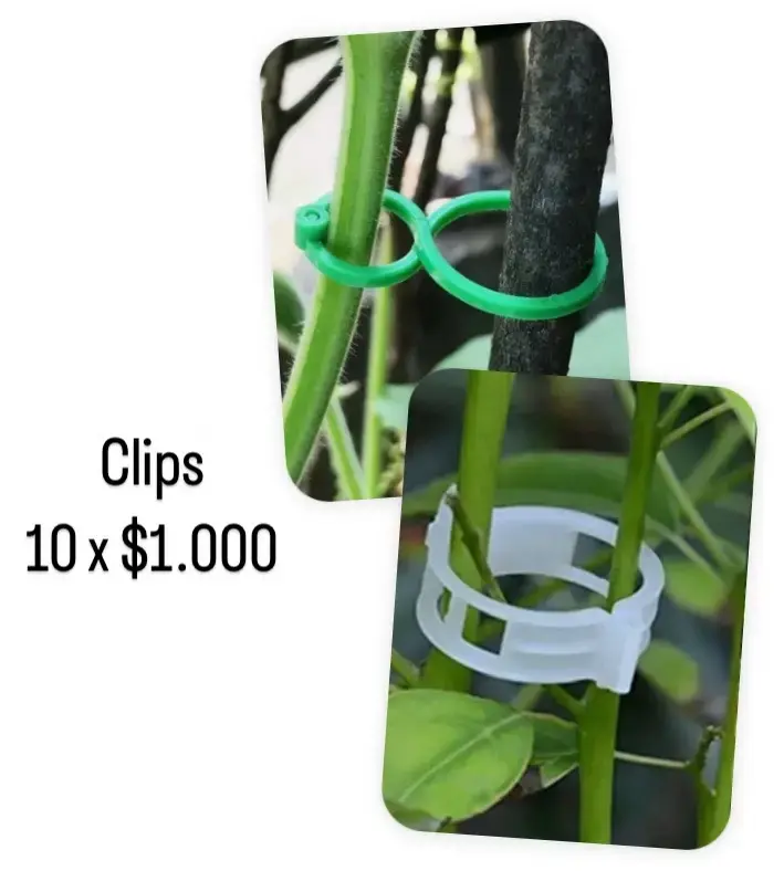 Clips plásticos para plantas