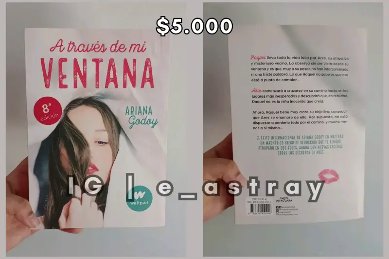 Libro A través de mi ventana