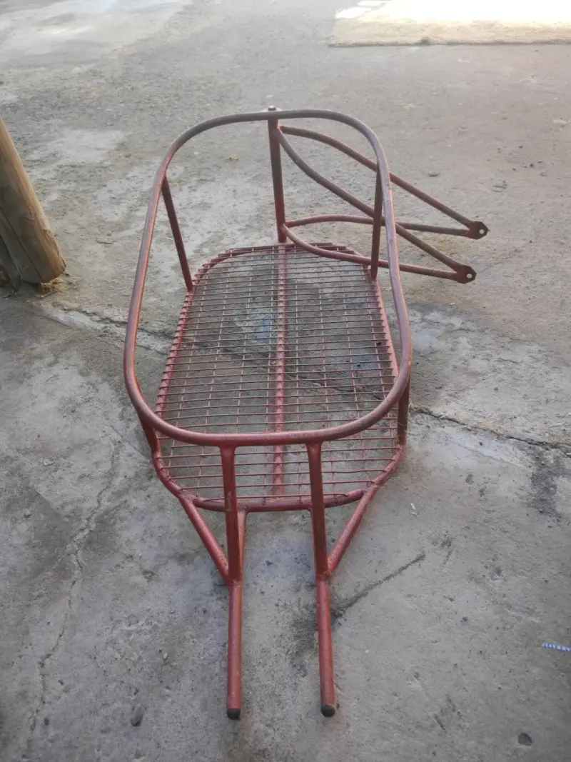 Carro de arrastre de bicicleta - 2
