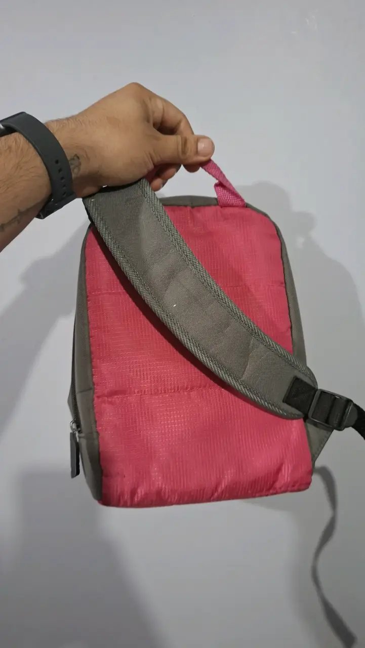 Mochila Peach Nintendo DS - 2