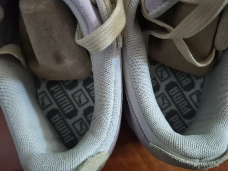 Puma ? - 3