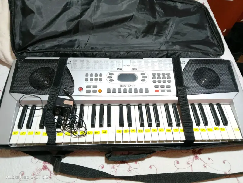 Teclado electrónico con funda