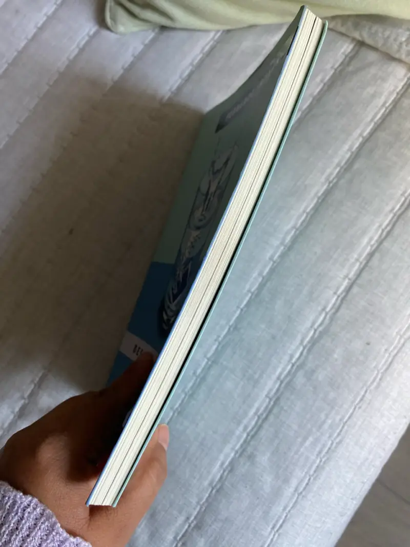Libro 'Desleídos y Efervescentes' - 3