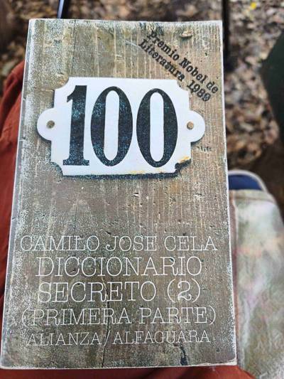 Diccionario Secreto de Camilo José Cela dos tomos - miniatura 2