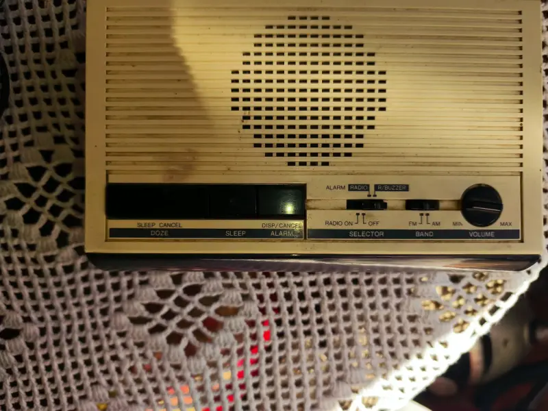 Radio Panasonic retro - 2