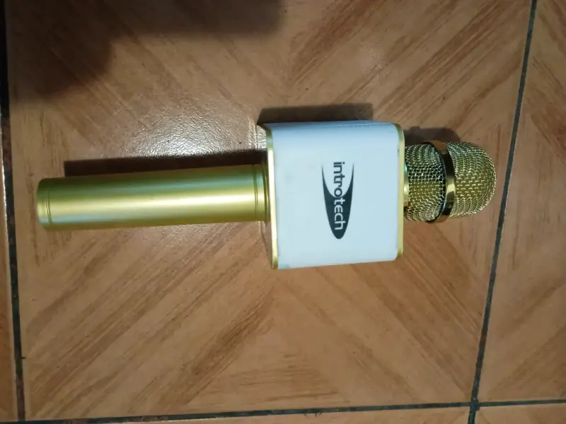 Micrófono karaoke dorado - 2