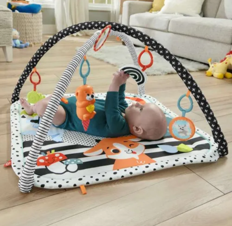 Gimnasio infantil Fisher Prise - 2