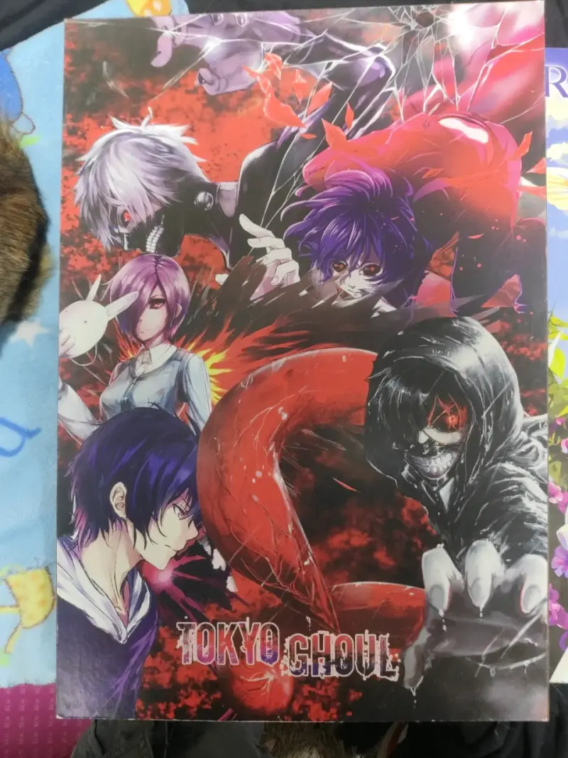 Cuadros anime Re:Zero y Tokyo Ghoul - 2