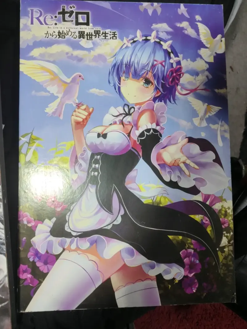 Cuadros anime Re:Zero y Tokyo Ghoul - 3