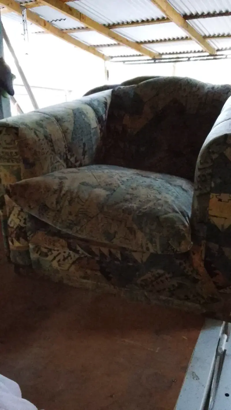 Sillón vintage estampado - 3