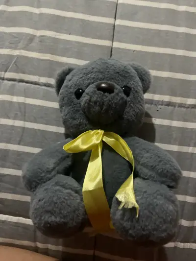 Osito de peluche gris - miniatura 1
