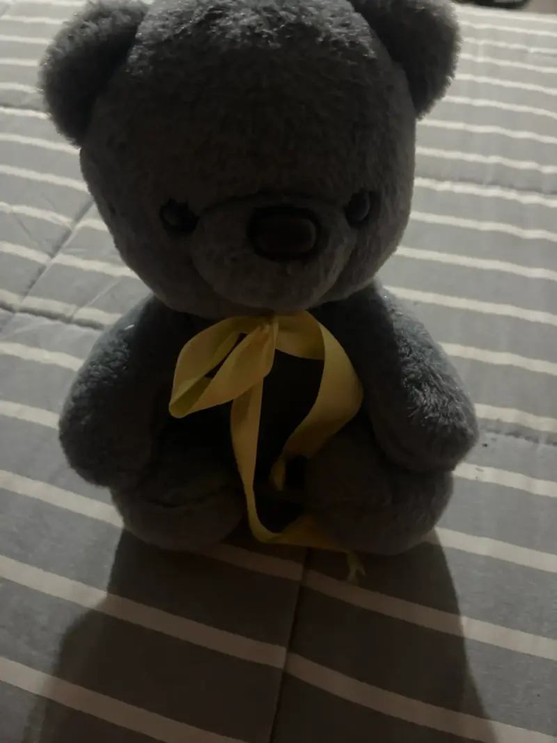 Osito de peluche gris - 2