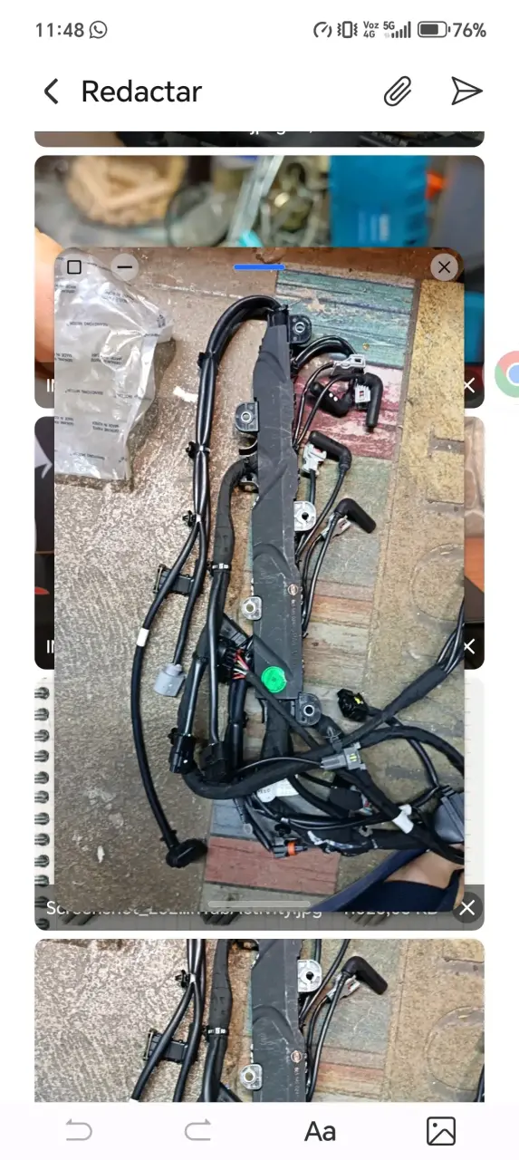 Arnes de motor automóvil sangyon rex