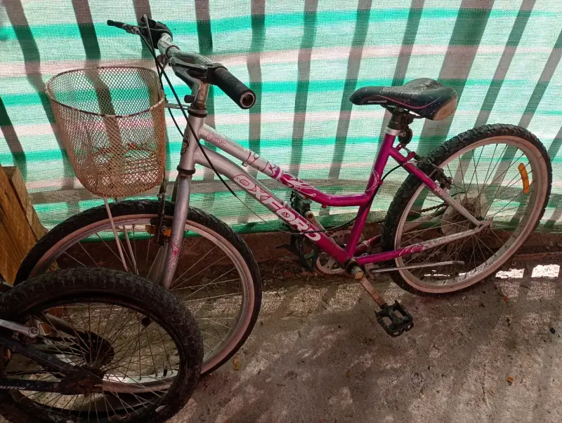 Bicicleta  20 montaña rosa y cros - 1