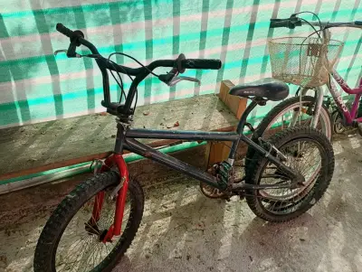 Bicicleta  20 montaña rosa y cros - miniatura 3