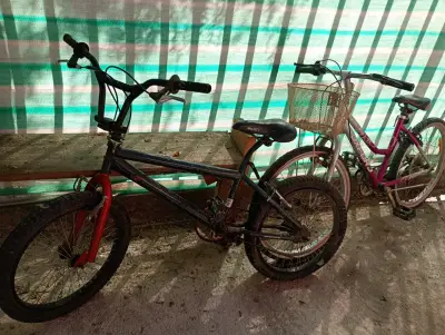Bicicleta  20 montaña rosa y cros - miniatura 4