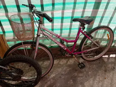 Bicicleta OX de paseo rosada - miniatura 1