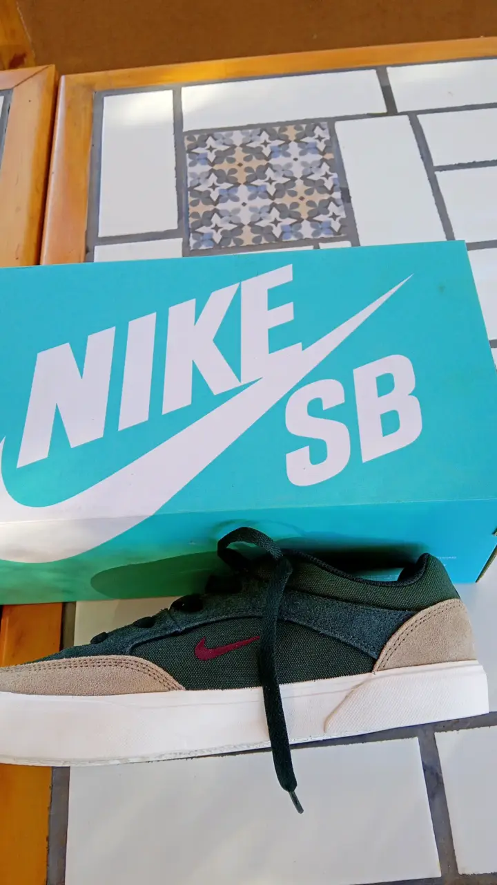 Zapatillas Nike SB verde y beige - 1