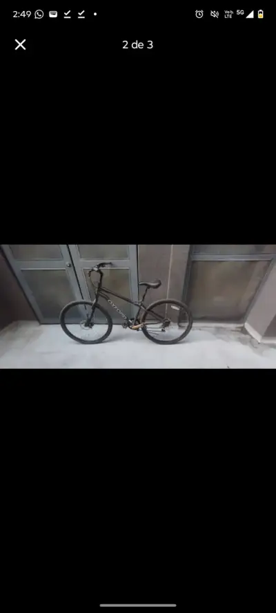 P3 cycle y Oxford - miniatura 2