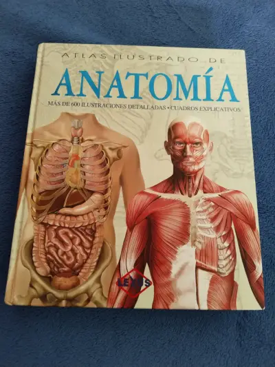 Atlas ilustrado de anatomía - miniatura 1