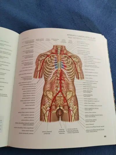 Atlas ilustrado de anatomía - miniatura 3