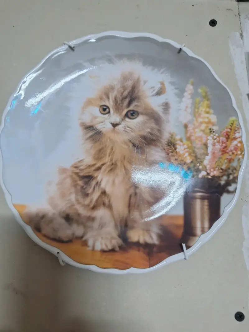 Plato decorativo con gatito