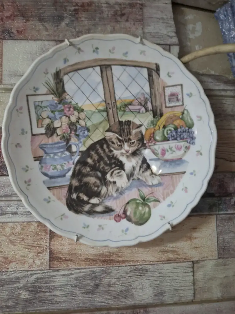Plato decorativo con gatito - 4