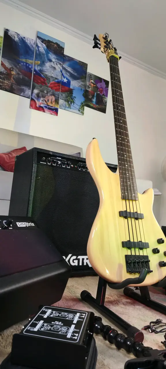 Bajo eléctrico con amplificador y accesorios - 4