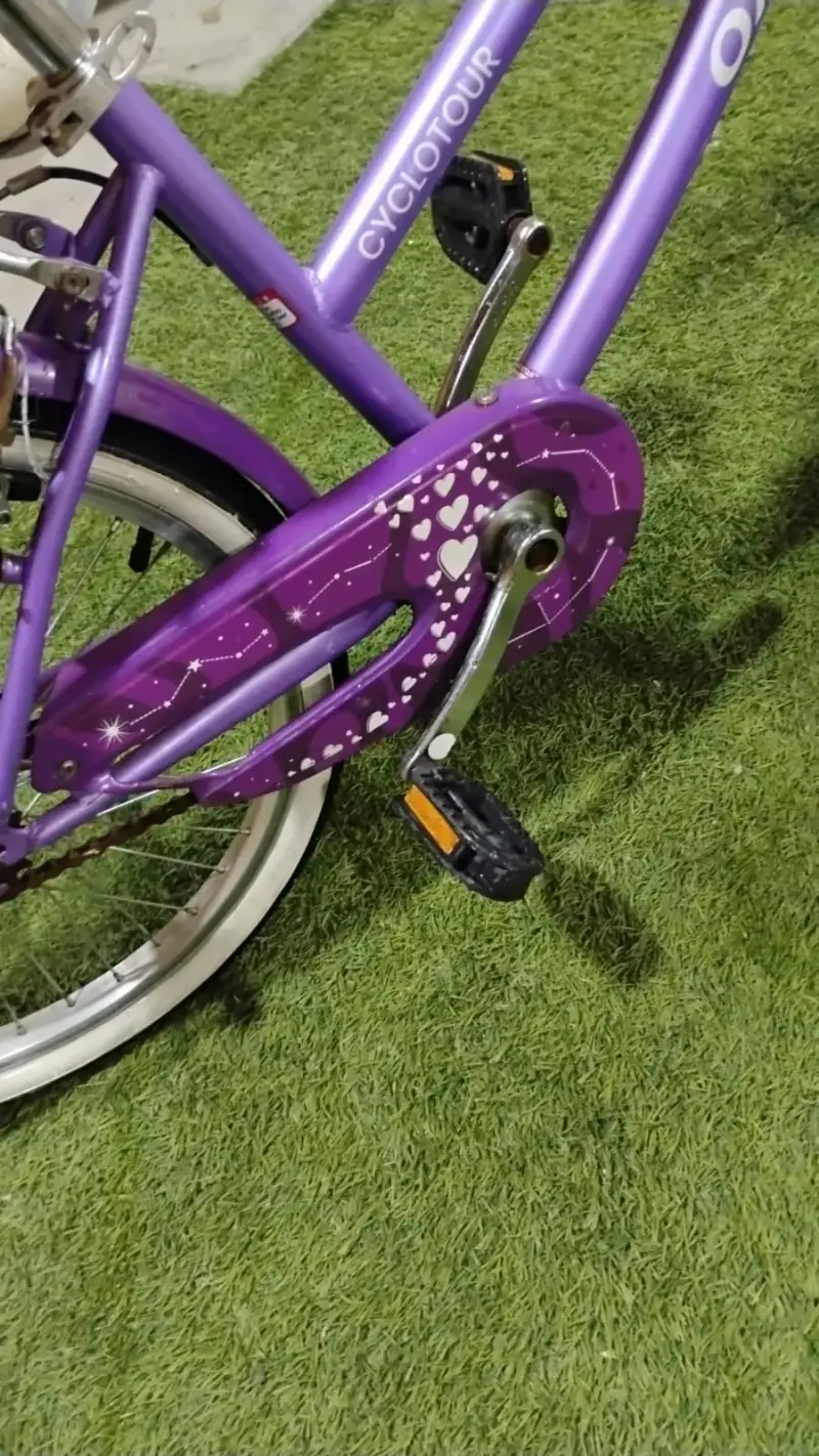 Bicicleta morada con canasto - 2