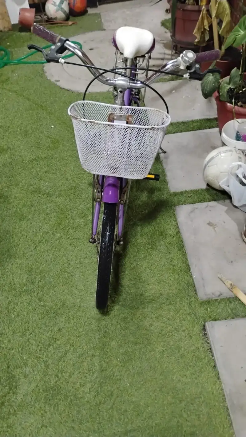 Bicicleta morada con canasto - 1
