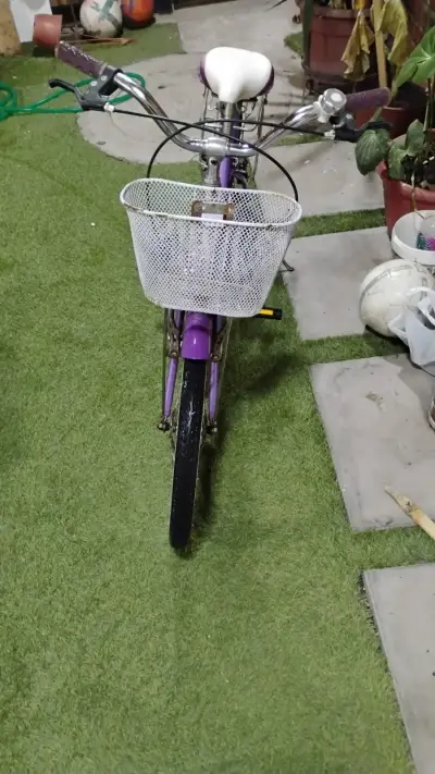 Bicicleta morada con canasto - miniatura 1